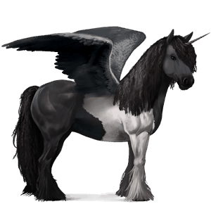 winged riding unicorn black tobiano