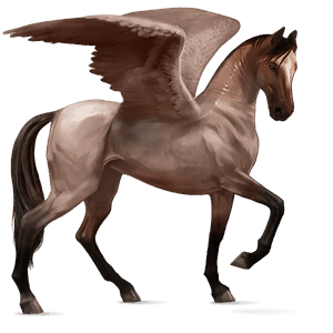 riding pegasus akhal-teke roan