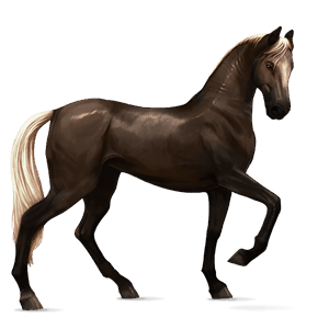 pony newfoundland pony chestnut
