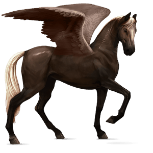 riding pegasus akhal-teke flaxen liver chestnut 