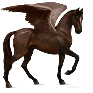 riding pegasus akhal-teke dark bay