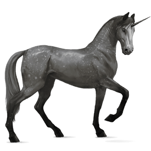 riding unicorn akhal-teke dapple gray