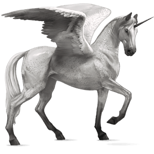 winged riding unicorn friesian black