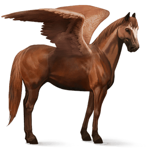 riding pegasus liver chestnut