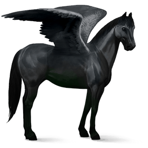 riding pegasus quarter horse black