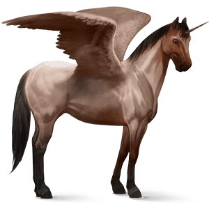 winged riding unicorn argentinean criollo roan