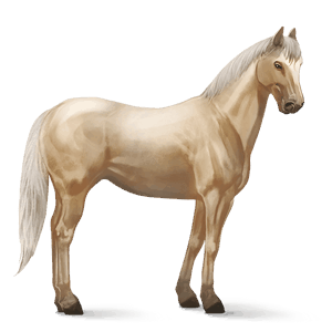 riding horse quarter horse cremello