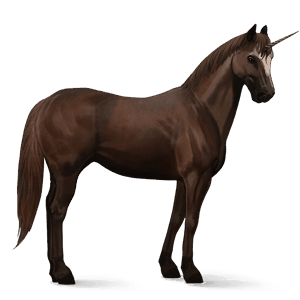riding unicorn quarter horse chestnut