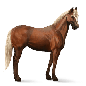 riding horse thoroughbred flaxen chestnut 