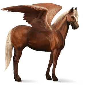 riding pegasus flaxen chestnut 