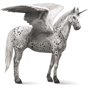 winged riding unicorn appaloosa black leopard 