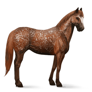 riding horse quarter horse flaxen chestnut 