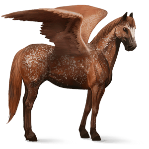 riding pegasus appaloosa chestnut snowflake 