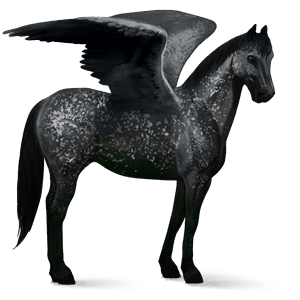 riding pegasus mustang cremello
