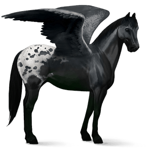 riding pegasus quarter horse chestnut
