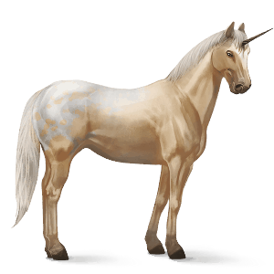 riding unicorn appaloosa palomino spotted blanket 