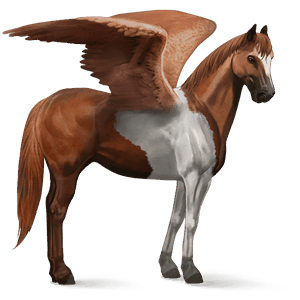 riding pegasus thoroughbred chestnut