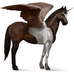winged riding unicorn liver chestnut tobiano