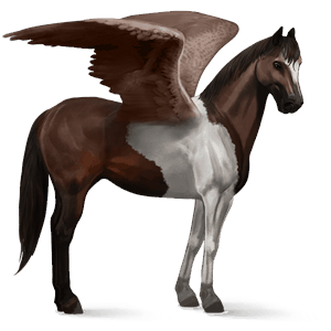 riding pegasus liver chestnut tobiano