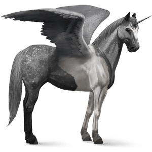 winged riding unicorn shagya arabian dapple gray