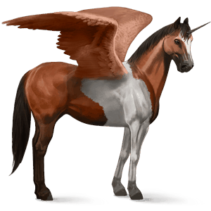 winged riding unicorn paint horse cherry bay tobiano