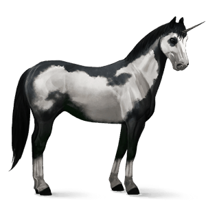 riding unicorn black overo