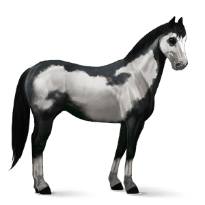riding horse quarter horse flaxen chestnut 