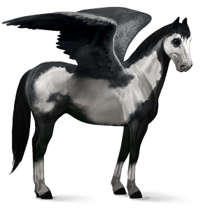 riding pegasus chestnut blanket 