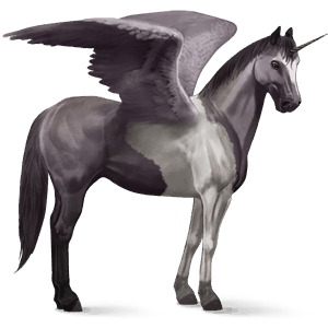 winged riding unicorn appaloosa palomino blanket 