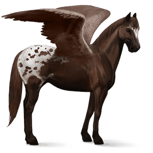 riding pegasus lipizzan bay