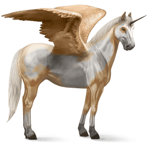 winged riding unicorn palomino overo