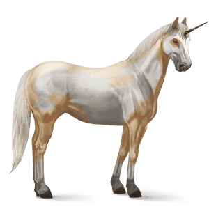 riding unicorn palomino tovero