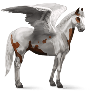 riding pegasus mustang dun