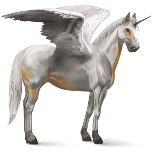 winged riding unicorn paint horse palomino overo