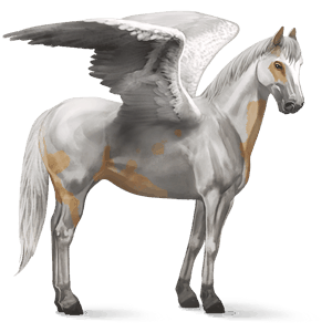 riding pegasus black tobiano