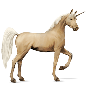 riding unicorn black