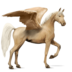 riding pegasus marwari dark bay