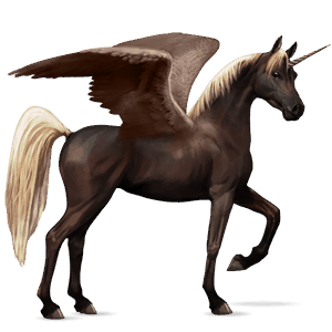 winged riding unicorn bay