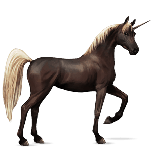riding unicorn shagya arabian light gray