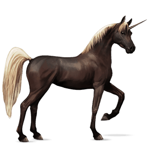 riding unicorn black