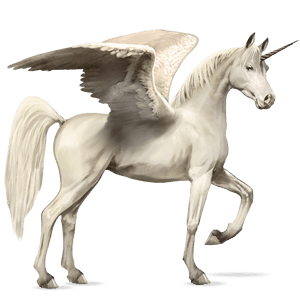 winged riding unicorn arabian horse bay