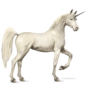 riding unicorn arabian horse light gray