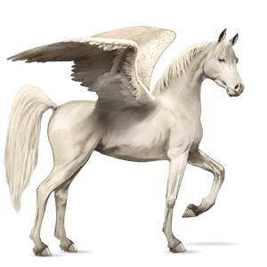 riding pegasus arabian horse light gray