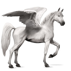 riding pegasus arabian horse light gray