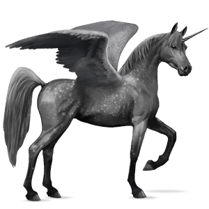 winged riding unicorn arabian horse dapple gray