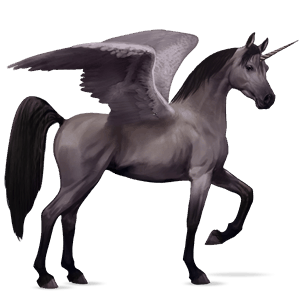 winged riding unicorn arabian horse mouse gray