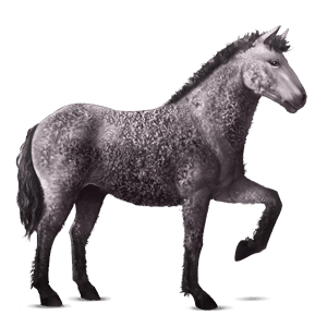riding horse finnish black