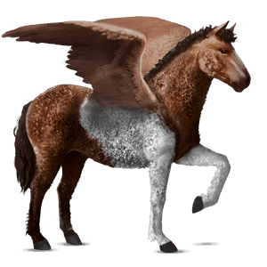 riding pegasus curly bay tobiano