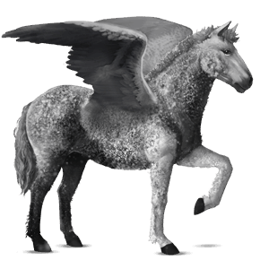 riding pegasus curly dapple gray tobiano