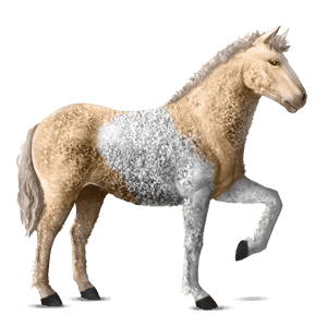 riding horse curly flaxen chestnut 
